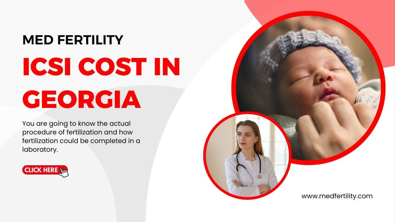 ICSI Cost in Georgia