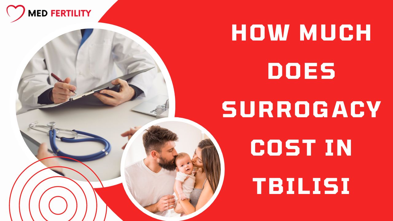 How Much Does Surrogacy Cost in Tbilisi