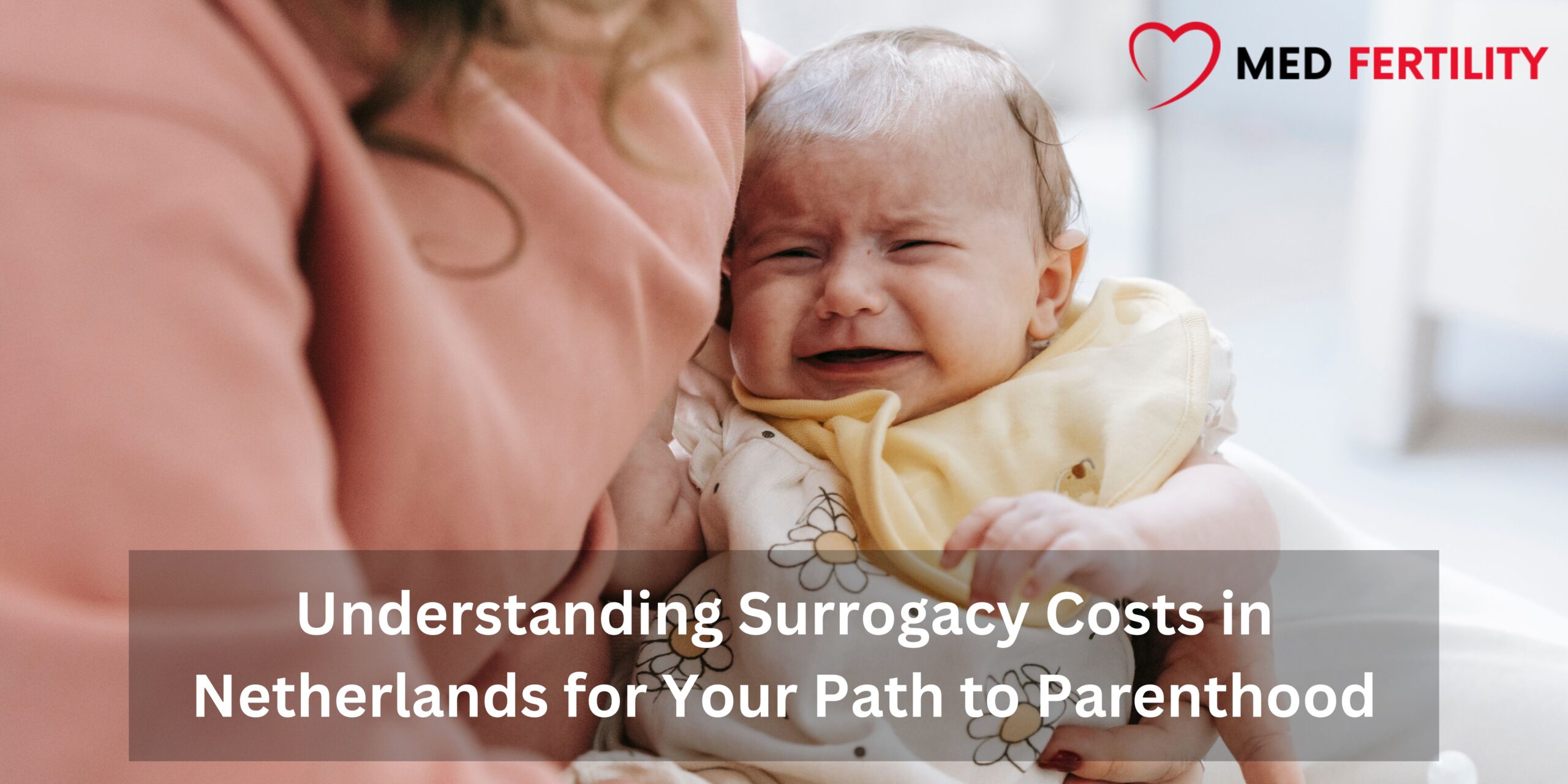 Understanding Surrogacy Costs in Netherlands for Your Path to Parenthood 2023
