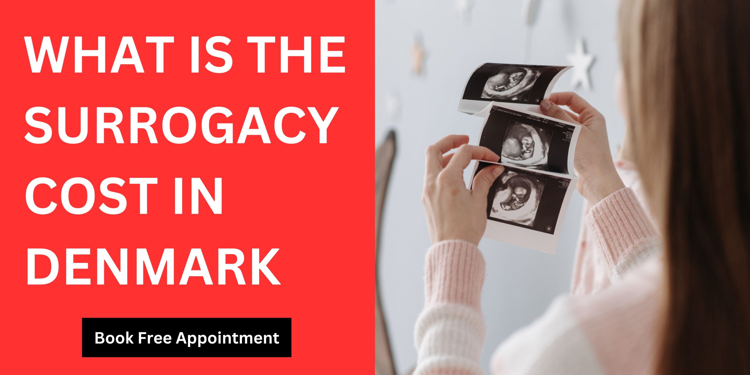 What is The Surrogacy Cost in Denmark 2023?