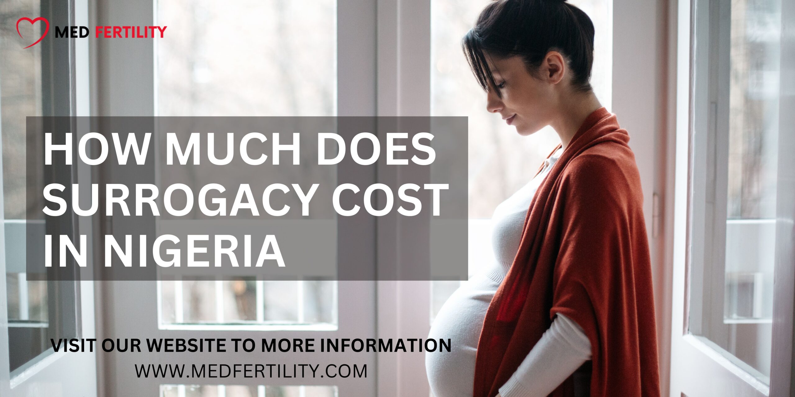 How Much Does Surrogacy Cost in Nigeria