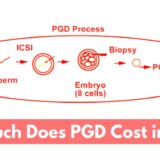 How Much Does PGD Cost in Kenya 2024