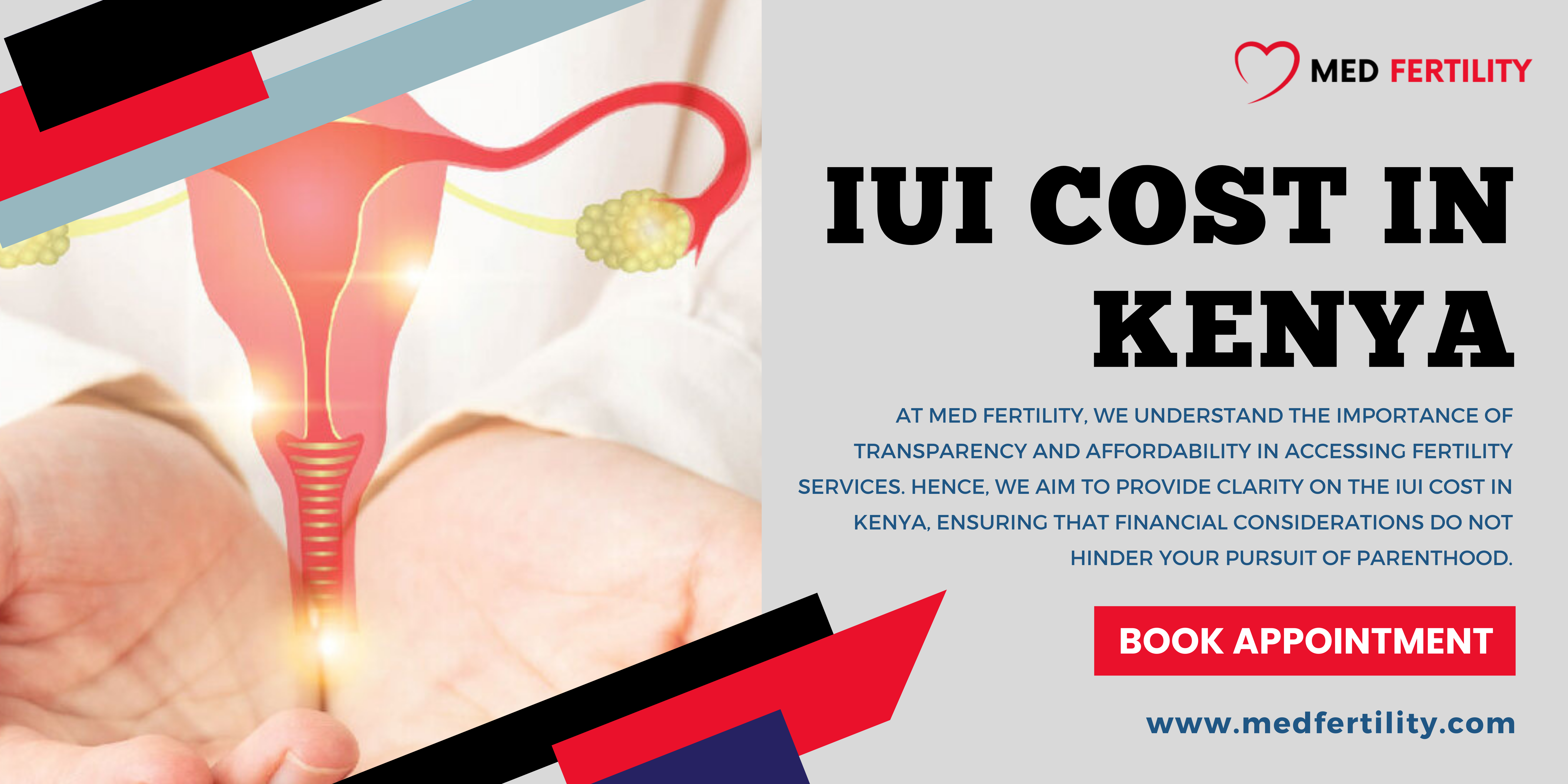 IUI Cost in Kenya